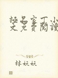 极品家丁小说全文免费阅读