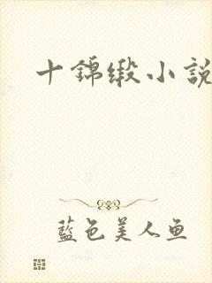 十锦缎小说
