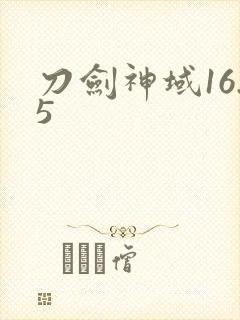 刀剑神域16.5封面