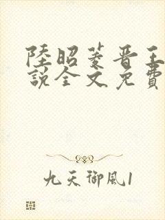 陆昭菱晋王的小说全文免费阅读