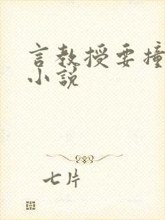 言教授要撞坏了小说封面