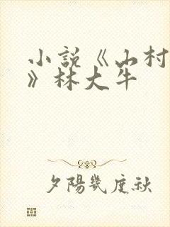 小说《山村情事》林大牛