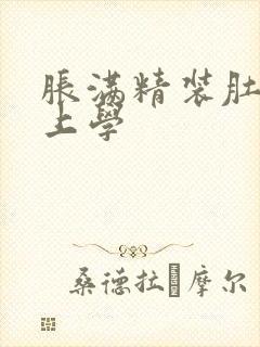 胀满精装肚子去上学封面