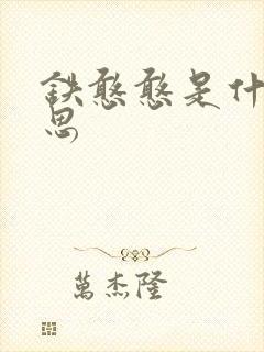 铁憨憨是什么意思封面