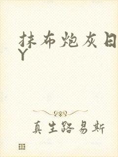 抹布炮灰日记BY