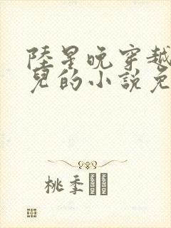 陆星晚穿越成婴儿的小说免费阅读全文