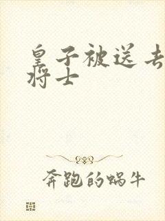 皇子被送去犒劳将士封面