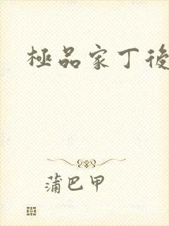 极品家丁后传封面