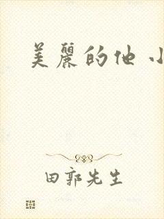 美丽的他 小说