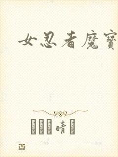 女忍者魔宝传封面