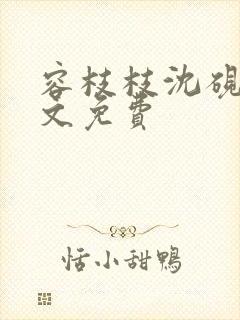 容枝枝沈砚书全文免费封面