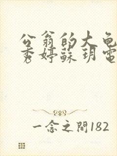 公翁的大龟挺进秀婷苏玥电影