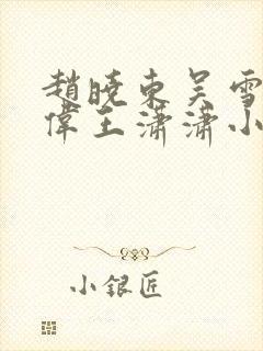 赵晓东吴雪晴郑伟王潇潇小说名字