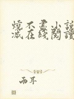 烧不尽小说无删减在线阅读