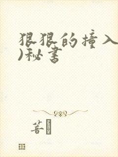 狠狠的撞入(h)秘书