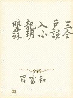 双龙入户三人行苏玥小说全文阅读