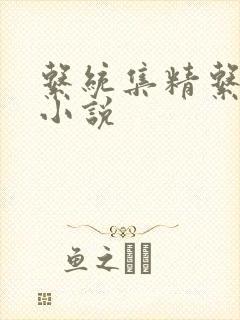 系统集精系统 小说封面