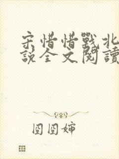 宋惜惜战北望小说全文阅读