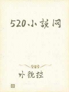 520小说网