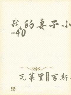 我的妻子小谨1-40
