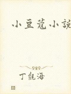 小豆蔻小说