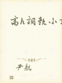 高h调教小说封面