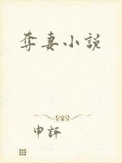 夺妻小说