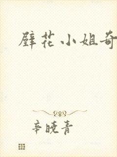 壁花小姐奇遇记