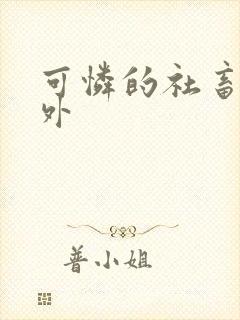 可怜的社畜新番外