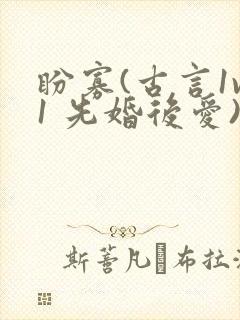 盼寡(古言1v1 先婚后爱)荔枝好多封面