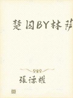 楚囚BY林萨