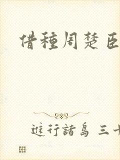 借种周楚臣封面