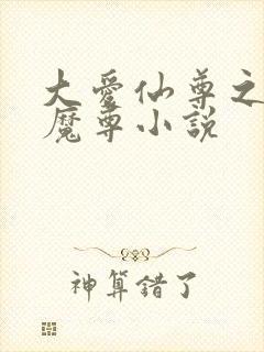 大爱仙尊之邪淫魔尊小说封面