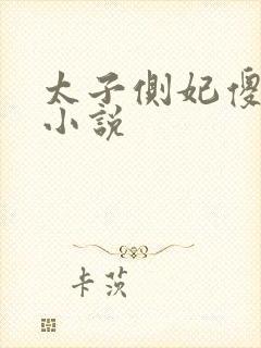 太子侧妃傻乎乎小说封面