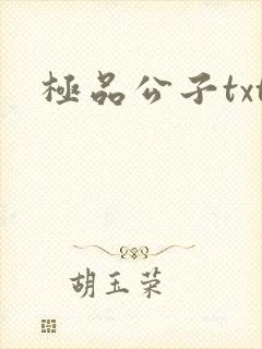 极品公子txt
