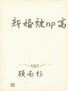 新婚被np高h封面