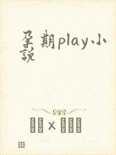 孕期play小说