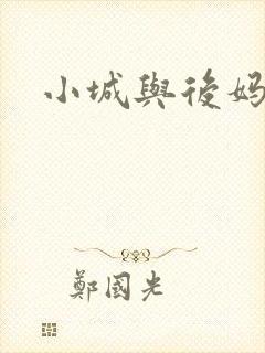小城与后妈封面