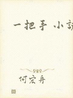 一把手 小说封面