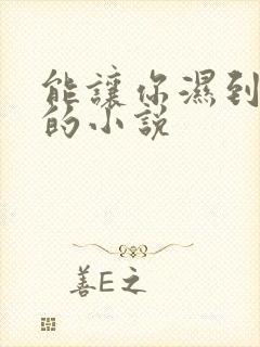 能让你湿到不行的小说封面