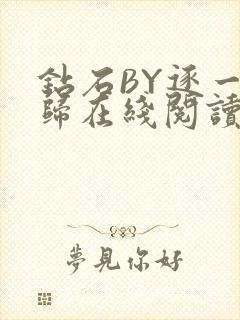 钻石BY逐一而归在线阅读