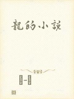 龙的小说封面