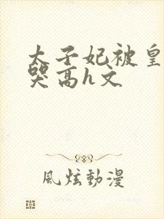 太子妃被皇上c哭高h文