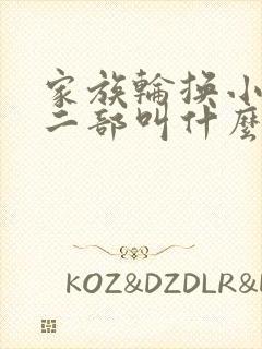 家族轮换小说第二部叫什么名字