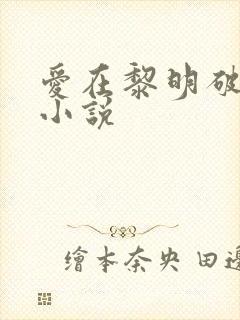 爱在黎明破晓前小说