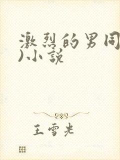 激烈的男同(h)小说