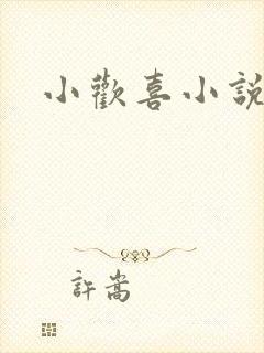 小欢喜小说封面