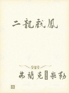 二龙戏凤