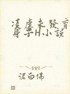 凌虐未发育的小身子H小说