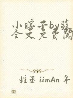 小瞎子by苏软全文免费阅读